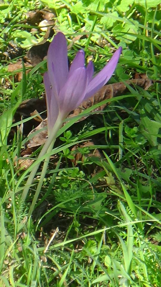 DSC00507_original